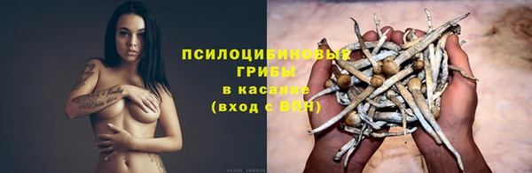 скорость Липки