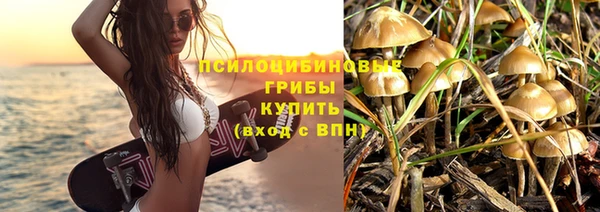 скорость Липки