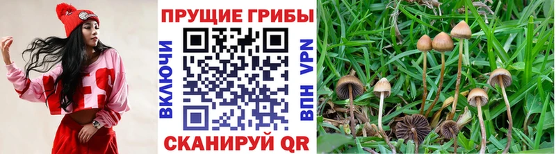 наркотики  Ува  ссылка на мегу ТОР  Галлюциногенные грибы мухоморы 